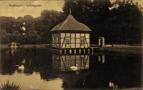 Ak Stadthagen in Niedersachsen, Schlossgarten, Schwäne