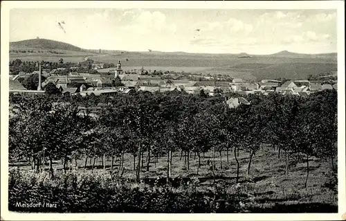 Ak Meisdorf Falkenstein im Harz, Panorama