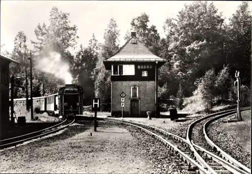 Ak Schmalspurbahn Zittau - Oybin/Jonsdorf, Abzweigung in Bertsdorf