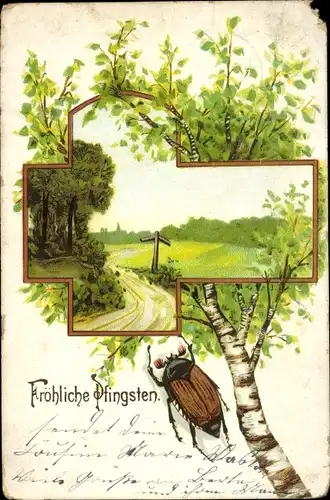 Litho Glückwunsch Pfingsten, Maikäfer, Birke, Wegweiser