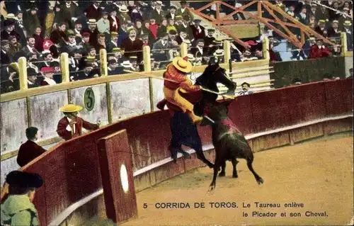 Ak Corrida de Toros, Der Stier entführt den Picador und sein Pferd