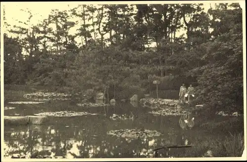 Foto Kyoto Präfektur Kyoto Japan, Tempelgarten