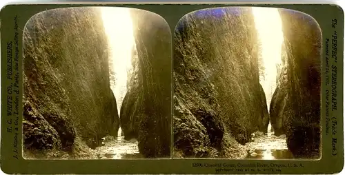 Stereo Foto Oregon USA, Columbia River, Oneonta Gorge