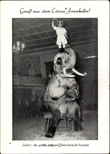 Ak Circus Frankello, Sahib, der größte dressierte Elefantenbulle Europas