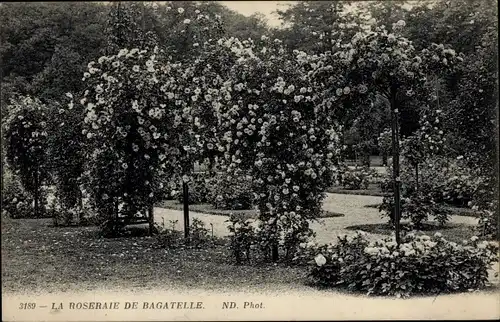 Ak Paris XVI, Bois de Boulogne, Bagatelle, Rosengarten