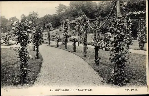 Ak Paris XVI, Bois de Boulogne, Bagatelle, Rosengarten