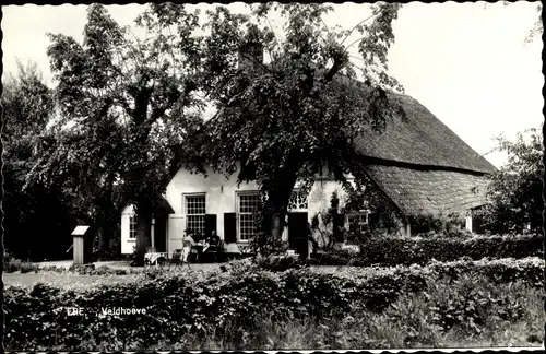 Ak Epe Gelderland Niederlande, Veldhoeve