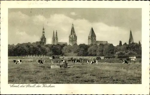 Ak Soest in Westfalen, Kirchtürme, Kuhweide