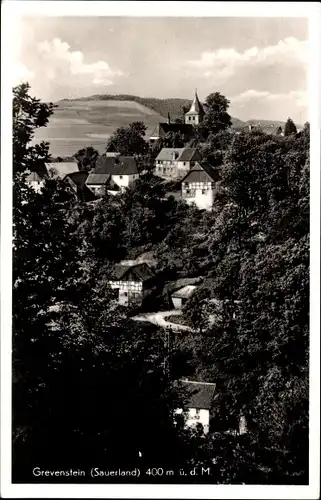 Ak Grevenstein Meschede im Sauerland, Panorama