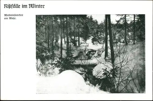 Ak Grünbach im Vogtland Sachsen, Rißfälle im Winter, Waldeinsamkeit am Wehr