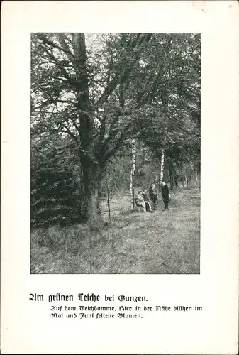 Passepartout Ak Schöneck im Vogtland Sachsen, Partie am grünen Teich, Spaziergänger