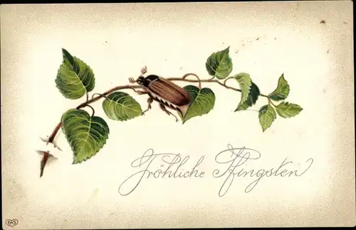 Präge Ak Glückwunsch Pfingsten, Maikäfer auf einem Birkenast, EAS