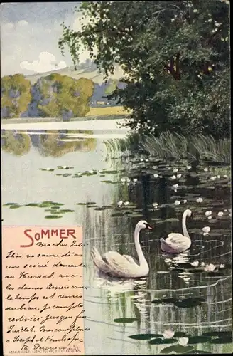Künstler Ak Sommer, Allegorie, Jahreszeit, Schwäne auf dem Wasser, Teichrosen