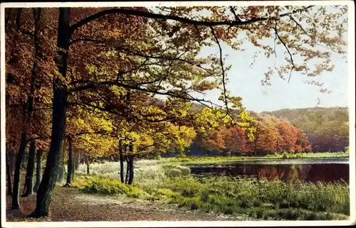 Ak Herbstzeit, Partie am See, Wald