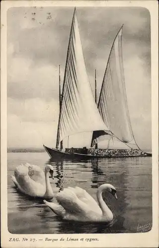 Ak Schwäne auf dem Genfer See, Segelboot