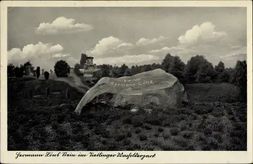 Ak Tietlingen Walsrode im Heidekreis, Hermanns-Löns-Stein, Wacholderpark