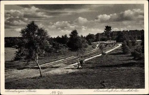 Ak Buchholz an der Aller, Lüneburger Heide, Landschaft