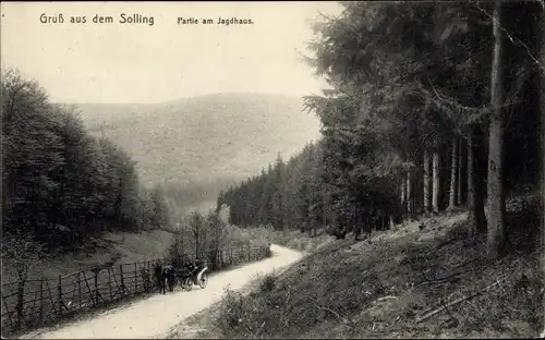 Ak Neuhaus im Solling Holzminden Niedersachsen, Partie am Jagdhaus