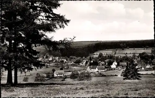 Ak Neuhaus im Solling Holzminden Niedersachsen, Ortsansicht