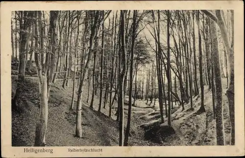 Ak Heiligenberg Bruchhausen Vilsen Niedersachsen, Reiherholzschlucht