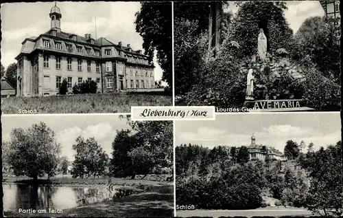 Ak Liebenburg am Harz, Lourdes-Grotte, Schloss, Teich