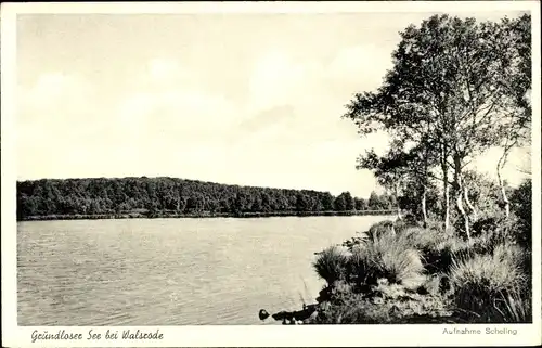 Ak Walsrode in der Lüneburger Heide, Grundloser See