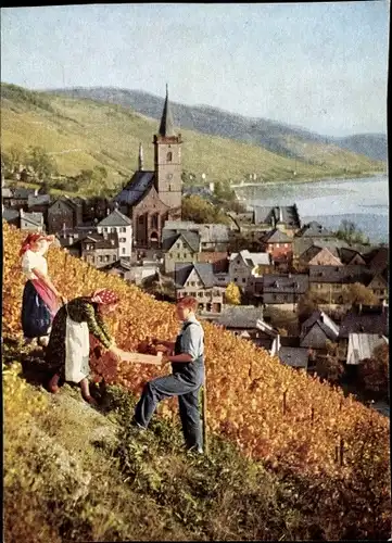 Ak Lorch im Rheingau Hessen, Weinlese, Ortsansicht