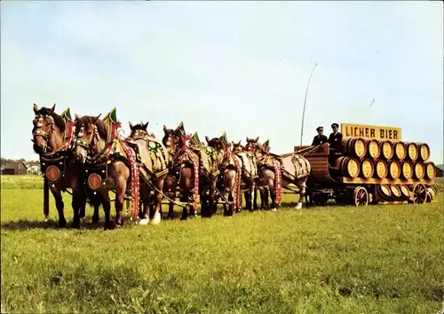 Ak Lich Hessen, Brauerei Ihring Melchior, Licher Bier, Achterzug, Bierkutsche, Belgische Kaltblüter