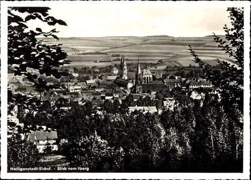 Ak Heilbad Heiligenstadt im Eichsfeld, Blick vom Iberg auf die Stadt