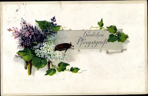 Ak Glückwunsch Pfingsten, Maikäfer, Laubblätter, Blumen