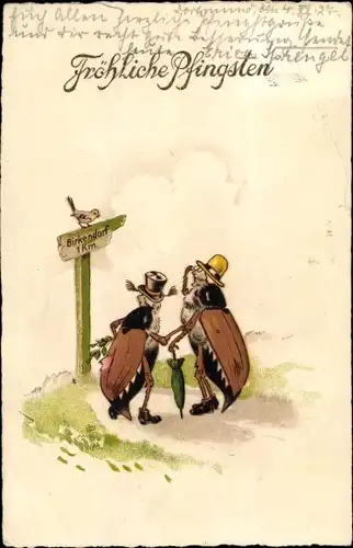 Ak Glückwunsch Pfingsten, Zwei Maikäfer an einem Wegweiser nach Birkendorf