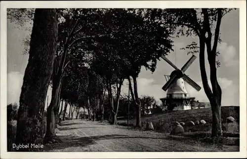 Ak Dybbøl Sogn Dänemark, Windmühle, Allee