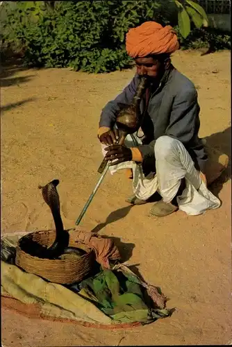 Ak Indien, Schlangenbeschwörer