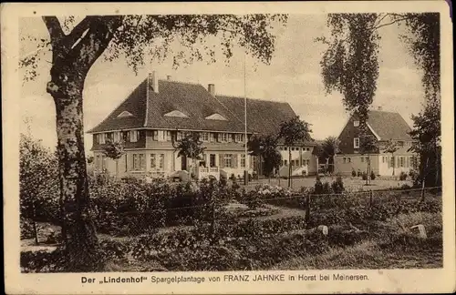 Ak Horst im Landkreis Gifhorn, Lindenhof, Spargelplantage von Franz Jahnke
