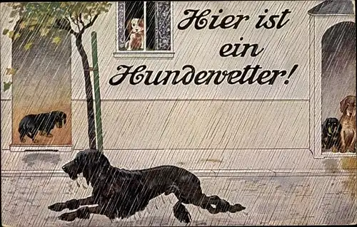 Künstler Ak Hier ist ein Hundewetter, Hunde im Regen, Dackel