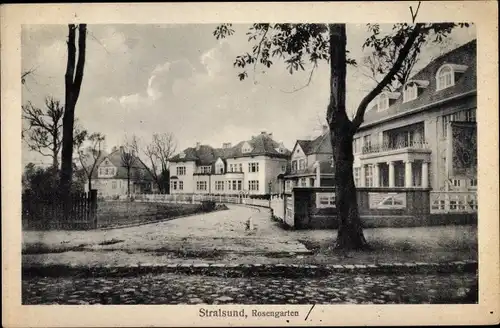 Ak Stralsund in Vorpommern, Rosengarten