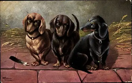 Künstler Ak Schönian, Alfred, Drei junge Dackel