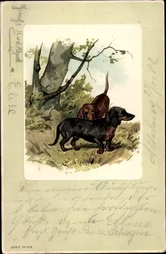 Litho Zwei Dackel auf einer Wiese