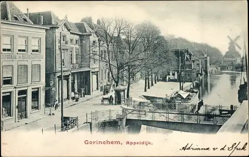 Ak Gorinchem Südholland Niederlande, Appeldijk