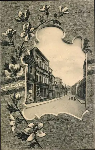 Passepartout Ak Roßwein in Sachsen, Döbelner Straße