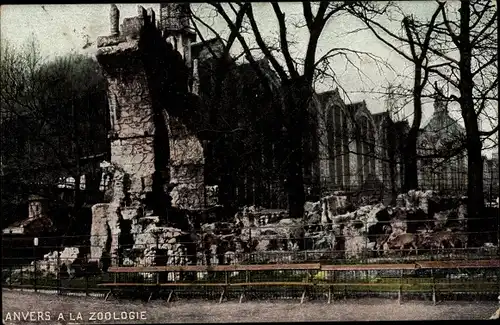 Ak Antwerpen Antwerpen Flandern, Bei Zoologie, Ruine