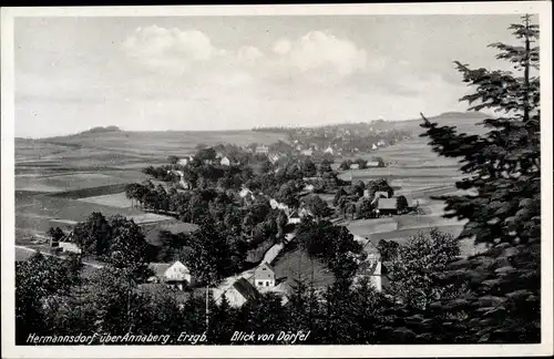 Ak Hermannsdorf Elterlein im Erzgebirge, Panorama, Dörfel