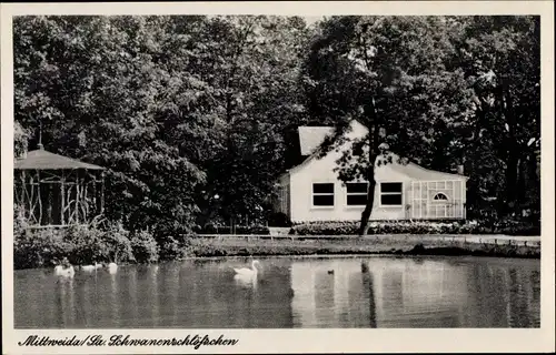 Ak Mittweida in Sachsen, Schwanenschlösschen