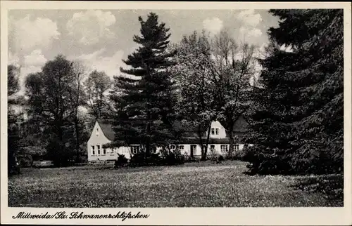 Ak Mittweida in Sachsen, Schwanenschlösschen