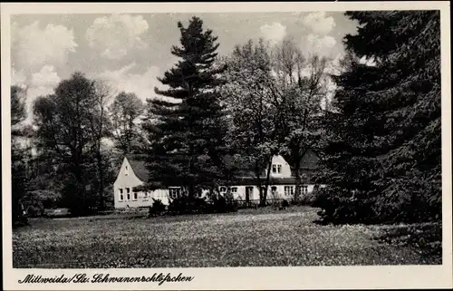 Ak Mittweida in Sachsen, Schwanenschlösschen