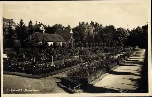 Ak Chemnitz in Sachsen, Rosarium