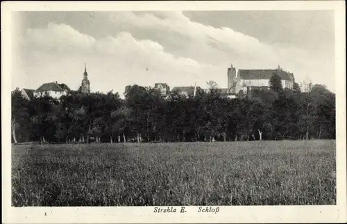 Ak Strehla in Sachsen, Schloss, Feld