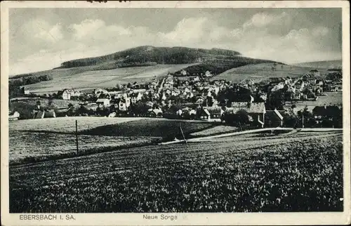 Ak Ebersbach in der Oberlausitz, Neue Sorge, Panorama