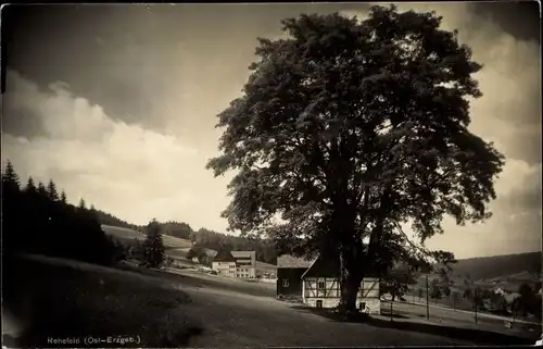 Ak Rehefeld Zaunhaus Altenberg im Erzgebirge, Panorama, Fachwerkhaus