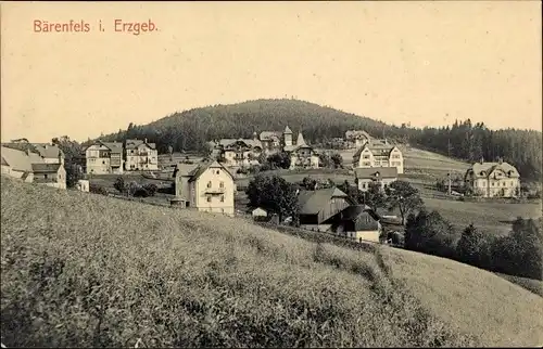 Ak Bärenfels Altenberg im Erzgebirge, Gesamtansicht